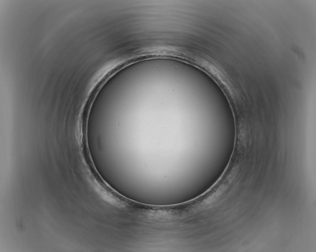 X0000111181082200907081230