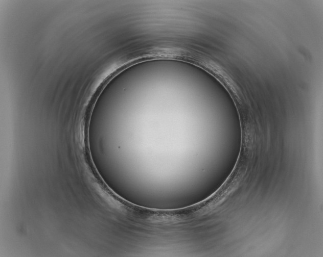 X0000111181083200907081230