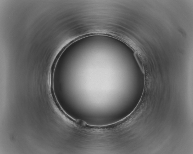 X0000111181084200907081230