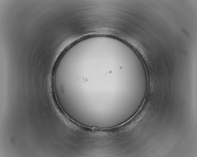 X0000111181085200907081230