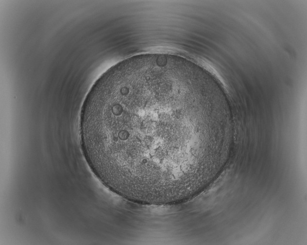 X0000111181087200907081230