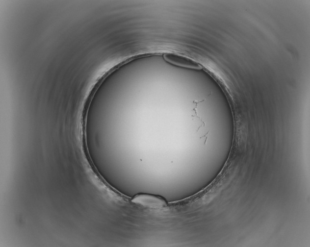 X0000111181088200907081230