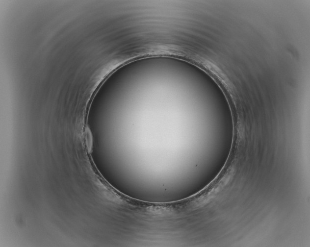 X0000111181089200907081230