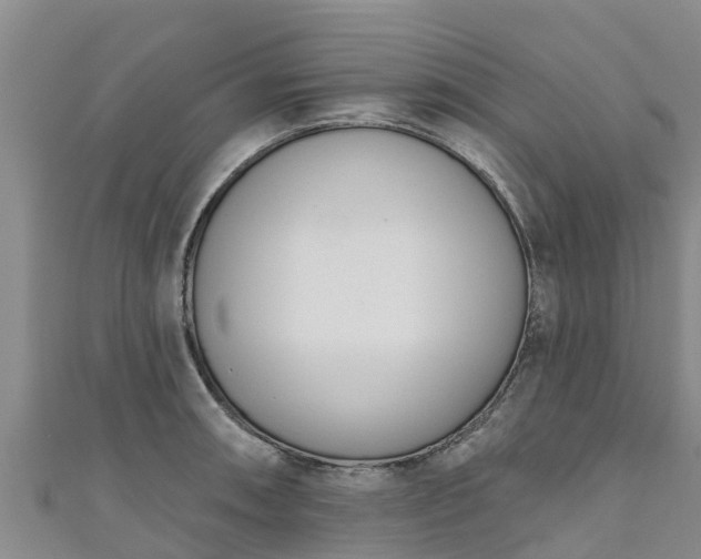 X0000111181090200907081230