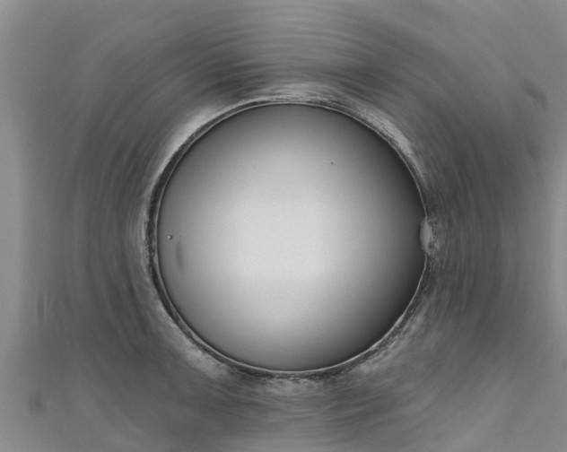 X0000111181091200907081230