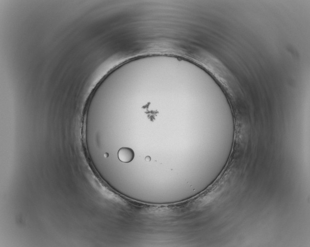 X0000111181094200907081230