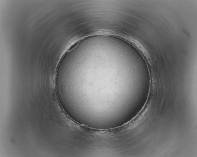 X0000111181097200907081230