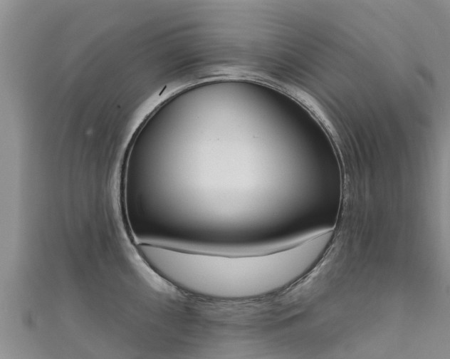 X0000111181098200907081230