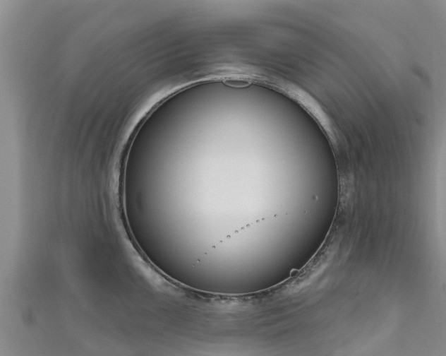 X0000111181099200907081230