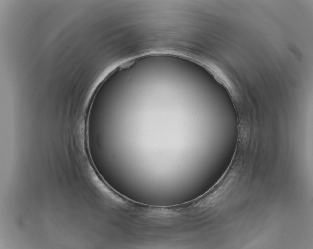 X0000111181100200907081230