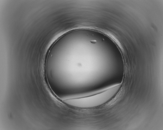 X0000111181101200907081230