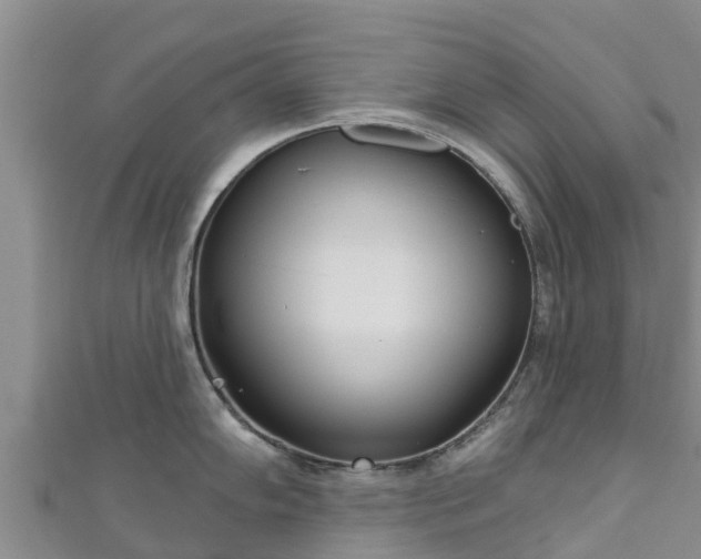 X0000111181102200907081230