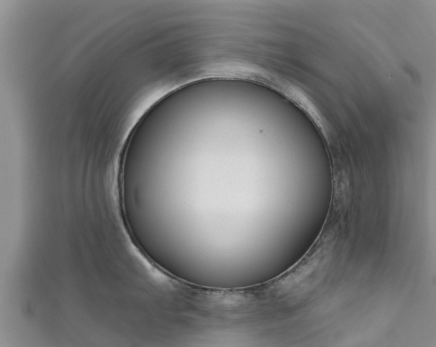 X0000111181103200907081230