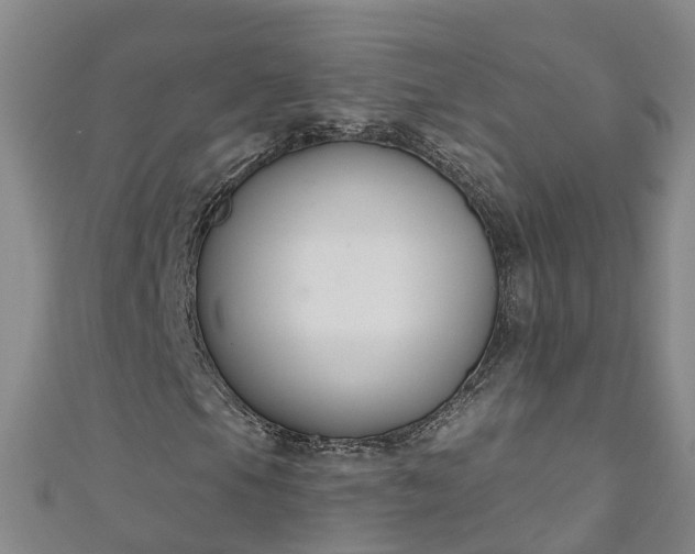 X0000111181105200907081230