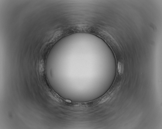 X0000111181107200907081230