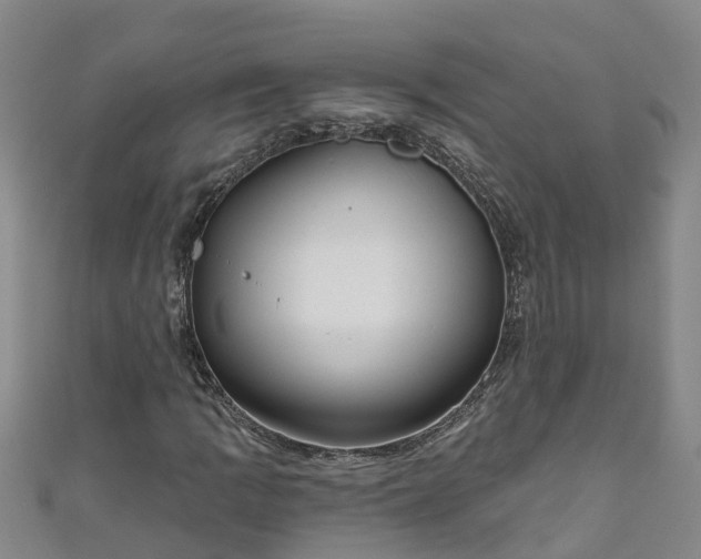 X0000111181109200907081230