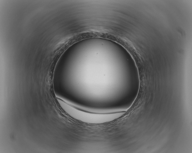 X0000111181110200907081230