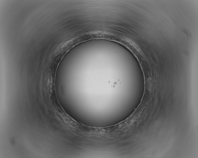 X0000111181111200907081230