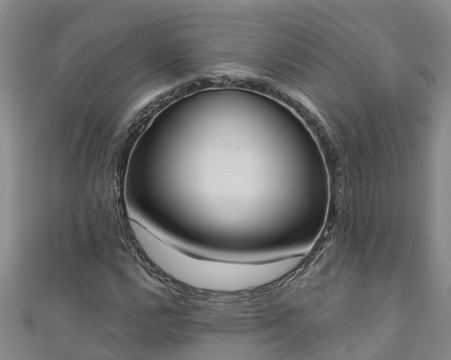 X0000111181112200907081230