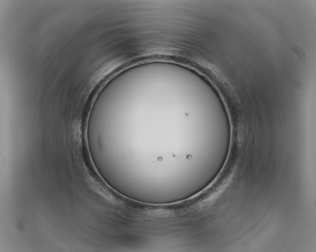 X0000111181113200907081230