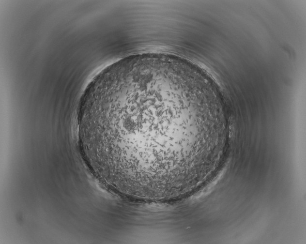 X0000111181117200907081230