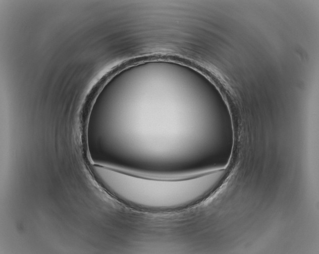 X0000111181118200907081230