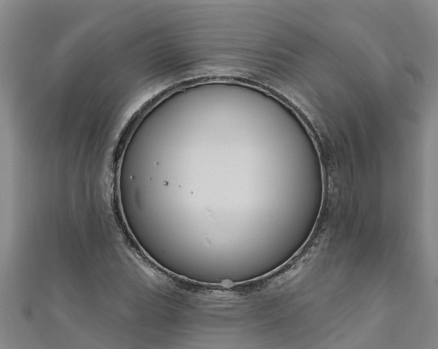 X0000111181119200907081230