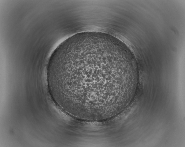 X0000111181120200907081230