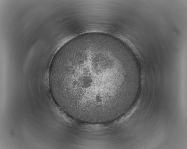 X0000111181121200907081230