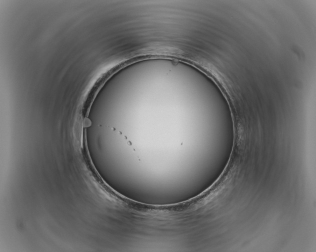 X0000111181123200907081230