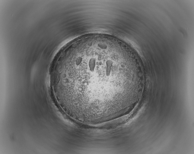 X0000111181125200907081230