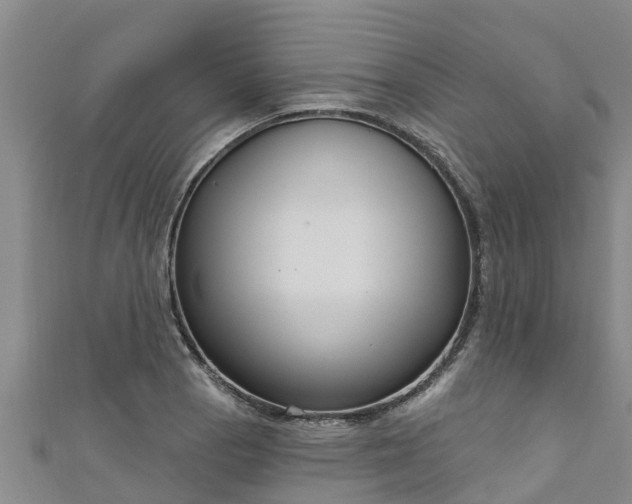 X0000111181129200907081230