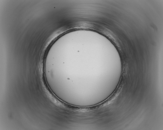 X0000111181130200907081230