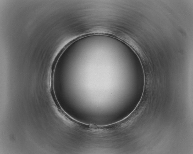 X0000111181132200907081230