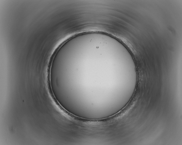 X0000111181134200907081230