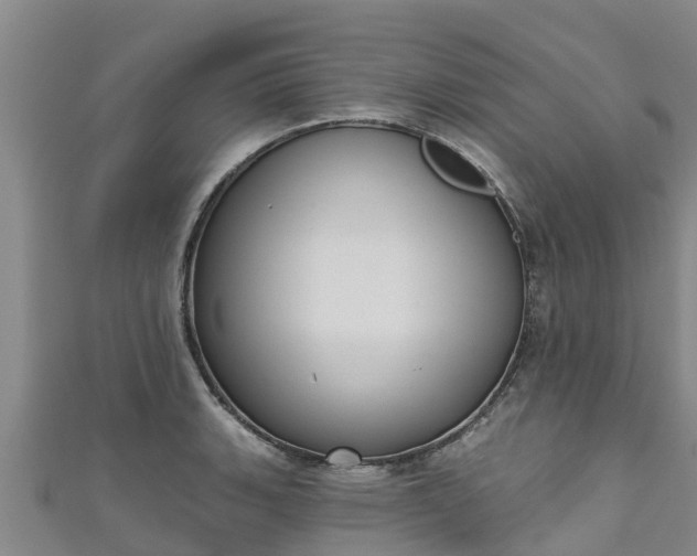 X0000111181135200907081230