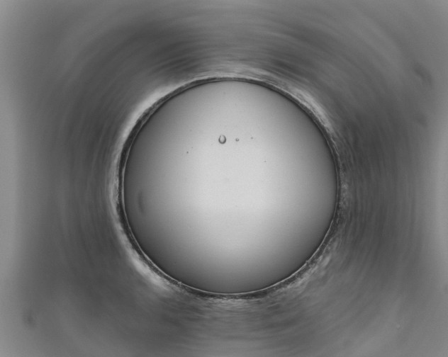 X0000111181136200907081230