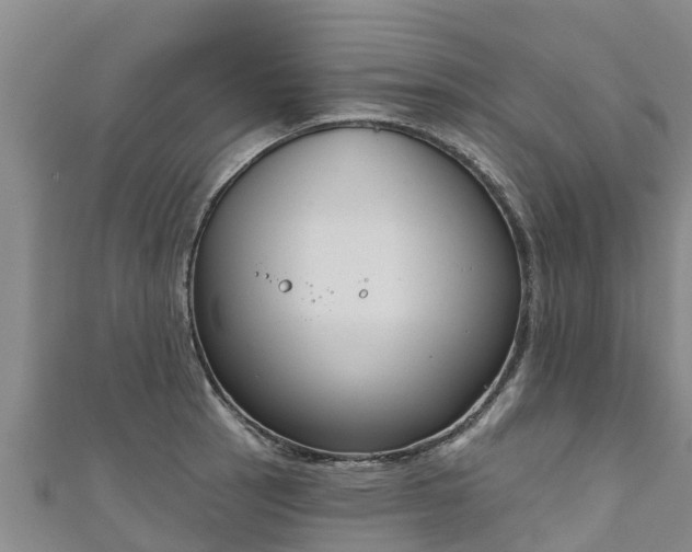 X0000111181137200907081230