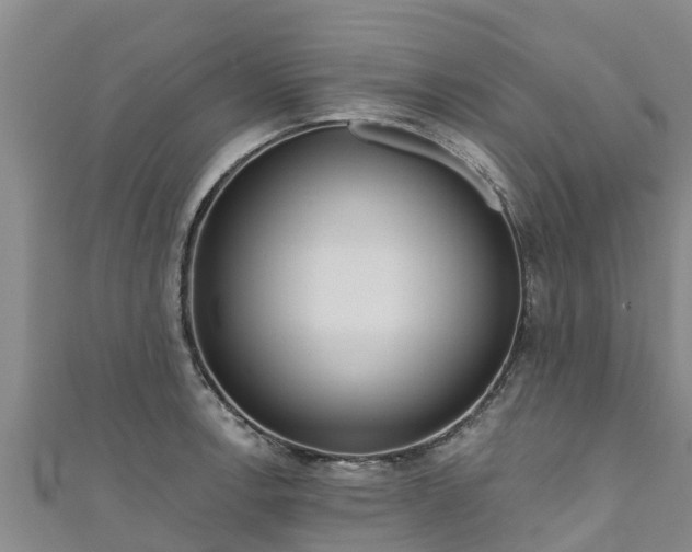 X0000111181138200907081230