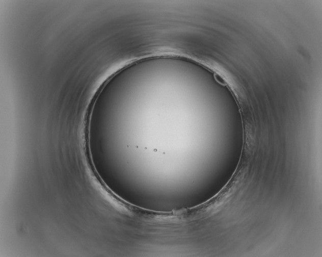 X0000111181142200907081230