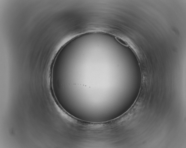 X0000111181143200907081230