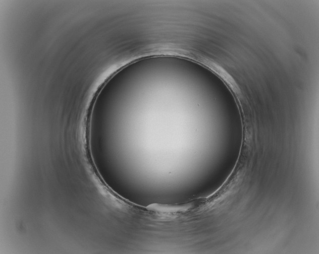 X0000111181144200907081230