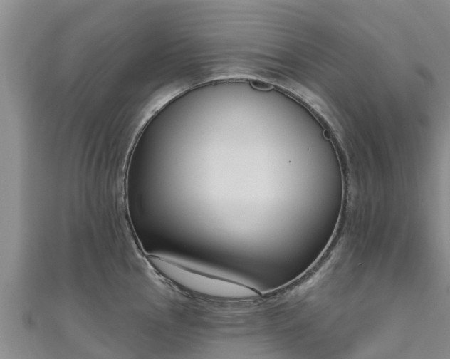 X0000111181145200907081230