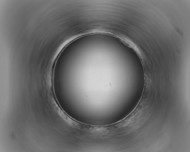 X0000111181148200907081230