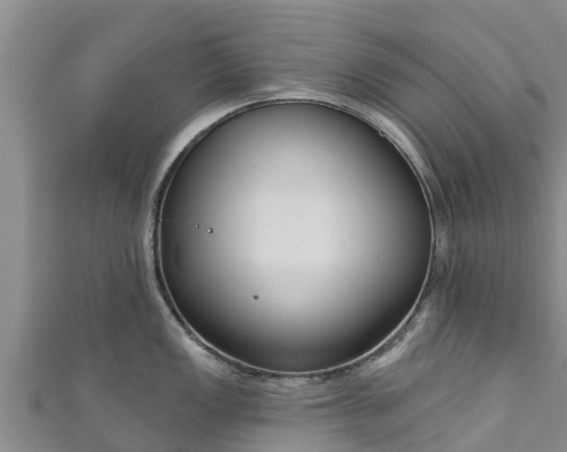 X0000111181149200907081230