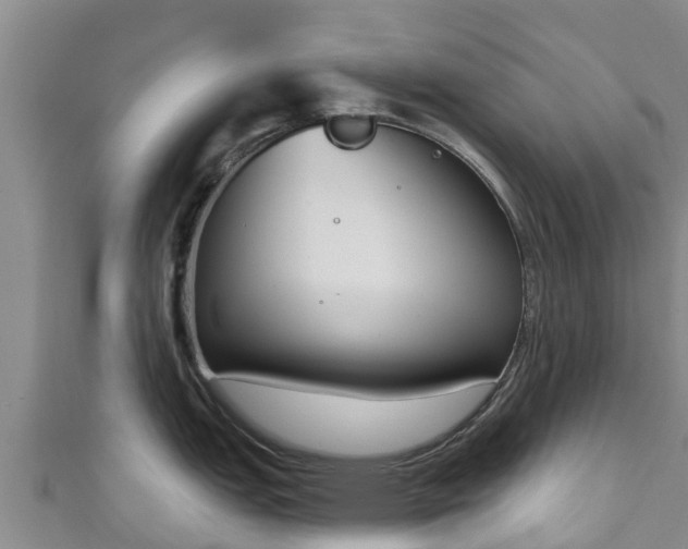 X0000111181151200907081230