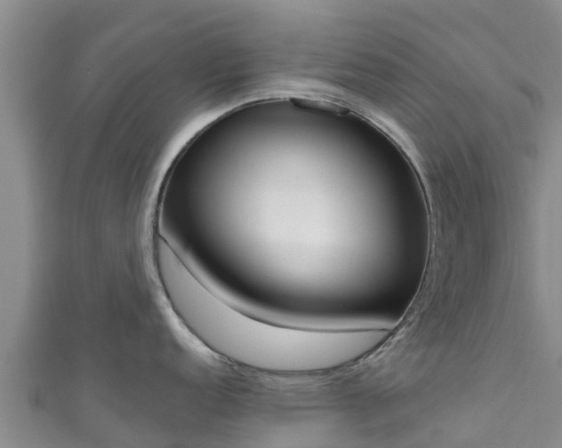 X0000111181152200907081230