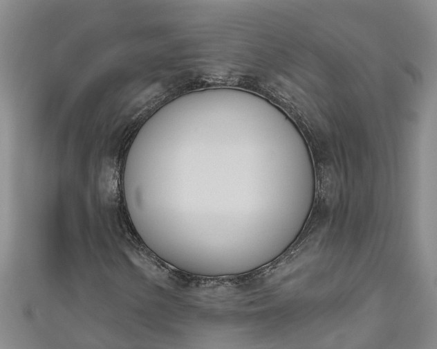 X0000111181154200907081229