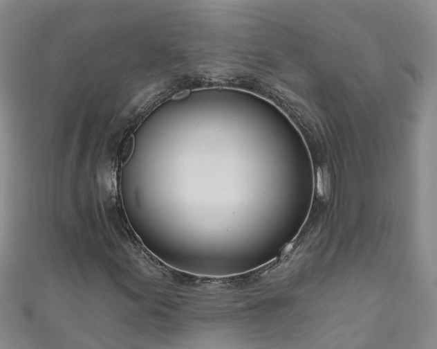 X0000111181155200907081229