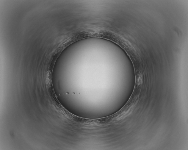 X0000111181156200907081229